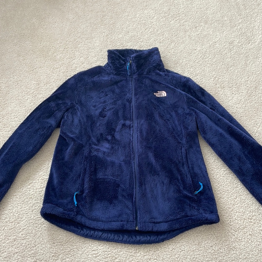 Blue Fuzzy North Face jacket
